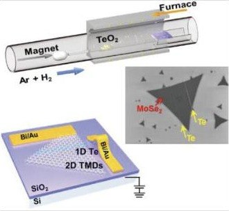 Epitaxial Growth of 1D Te/2D MoSe₂ Mixed-Dimensional Heterostructures for High-Efficient Self-Powered Photodetector