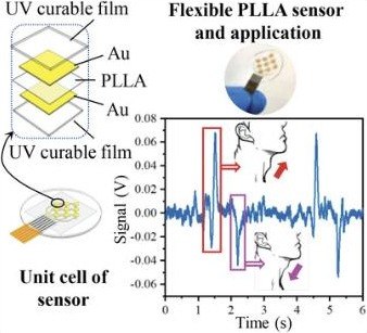 Skin-Adhesive Flexible Force Sensors Based on Piezoelectric Poly(l-lactic acid) for Human Behavior Recognition