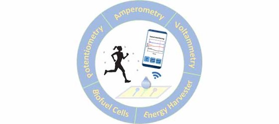 Recent Advances in Electrochemical Sensors for Wearable Sweat Monitoring: A Review