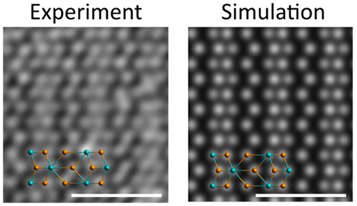 Monolayer Single-Crystal 1T'-MoTe₂ Grown by Chemical Vapor Deposition Exhibits Weak Antilocalization Effect