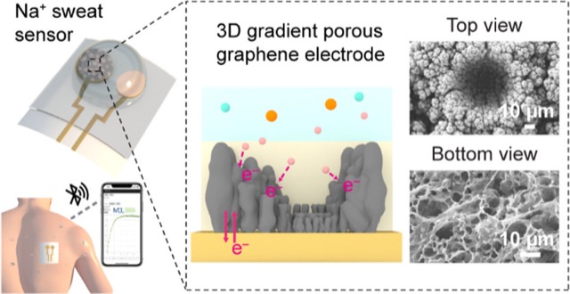 Utilizing Gradient Porous Graphene Substrate as the Solid-Contact Layer to Enhance Wearable Electrochemical Sweat Sensor Sensitivity