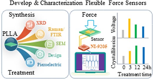 Raman mapping of piezoelectric poly (L-Lactic acid) films for force sensors