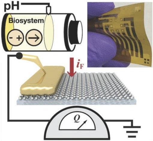 pH Sensing Properties of Flexible, Bias-Free Graphene Microelectrodes in Complex Fluids